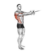 Cable Standing Twist Row (V-Bar) animated exercise demonstration