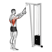 Cable Straight Arm Pulldown (With Rope) animated exercise demonstration