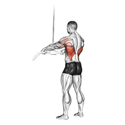 Cable Straight Arm Pulldown animated exercise demonstration