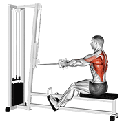 Cable Straight Back Seated Row animated exercise demonstration