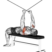 Cable Supine Reverse Fly animated exercise demonstration