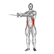 Cable Twist animated exercise demonstration