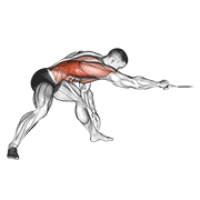 Cable Twisting Pull animated exercise demonstration