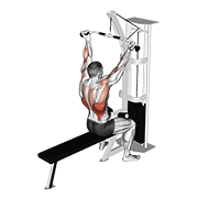 Cable Underhand Pulldown animated exercise demonstration