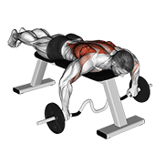 Cambered Bar Lying Row animated exercise demonstration