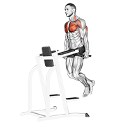 Chest Dip exercise demonstration