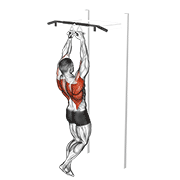 Chin-Ups (Narrow Parallel Grip) animated exercise demonstration