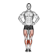 Circles Knee Stretch animated exercise demonstration