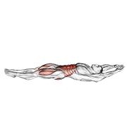 Cocoons animated exercise demonstration