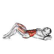 Cross Body Crunch animated exercise demonstration