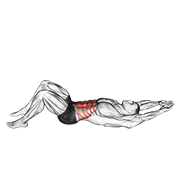 Crunch (Hands Overhead) animated exercise demonstration