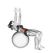 Crunch (On Stability Ball, Arms Straight) animated exercise demonstration