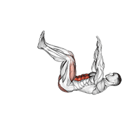 Dead Bug animated exercise demonstration