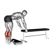 Donkey Calf Raise animated exercise demonstration