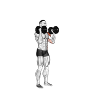 Dumbbell Alternate Side Press animated exercise demonstration