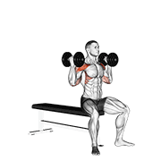 Dumbbell Arnold Press V. 2 animated exercise demonstration