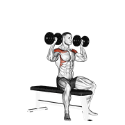 Dumbbell Bench Seated Press animated exercise demonstration