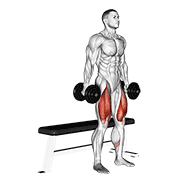 Dumbbell Bench Squat animated exercise demonstration
