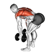 Dumbbell Bent Over Row animated exercise demonstration