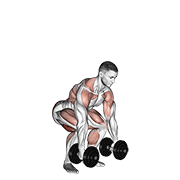Dumbbell Clean animated exercise demonstration
