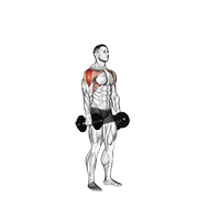 Dumbbell Cuban Press animated exercise demonstration