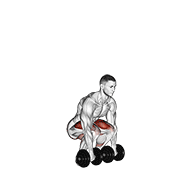 Dumbbell Deadlift animated exercise demonstration
