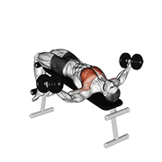 Dumbbell Decline Fly animated exercise demonstration