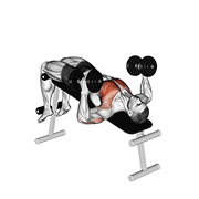 Dumbbell Decline Hammer Press animated exercise demonstration