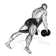 Dumbbell Decline Shrug V. 2 animated exercise demonstration