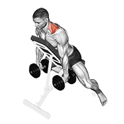 Dumbbell Decline Shrug animated exercise demonstration