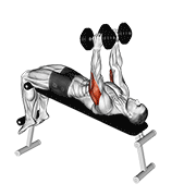 Dumbbell Decline Triceps Extension animated exercise demonstration