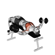 Dumbbell Decline Twist Fly animated exercise demonstration