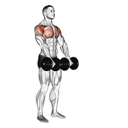 Dumbbell front raise demonstration lifting dumbbells forward to shoulder height with controlled stance