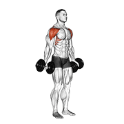 Dumbbell Full Can Lateral Raise animated exercise demonstration