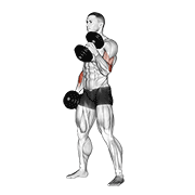 Dumbbell Hammer Curl animated exercise demonstration
