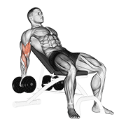 Dumbbell Incline Biceps Curl animated exercise demonstration