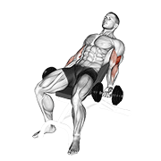 Dumbbell Incline Curl V. 2 animated exercise demonstration