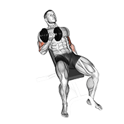 Dumbbell Incline Curl animated exercise demonstration