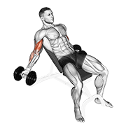 Dumbbell Incline Inner Biceps Curl animated exercise demonstration