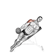 Dumbbell Incline One Arm Lateral Raise animated exercise demonstration