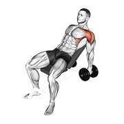 Dumbbell Incline Raise animated exercise demonstration