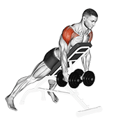 Dumbbell Incline Rear Lateral Raise animated exercise demonstration