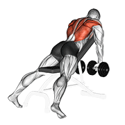 Dumbbell Incline Row animated exercise demonstration