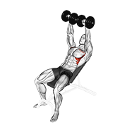 Dumbbell Incline Shoulder Raise animated exercise demonstration