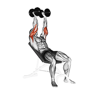 Dumbbell Incline Triceps Extension animated exercise demonstration