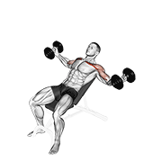 Dumbbell Incline Twisted Flyes animated exercise demonstration