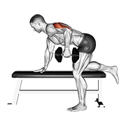 Dumbbell Kickback animated exercise demonstration