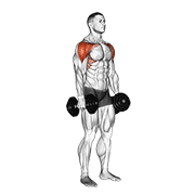 Dumbbell Lateral To Front Raise animated exercise demonstration