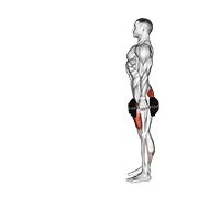 Dumbbell forward lunge demonstration with dumbbells at the sides, stable front foot, controlled knee tracking, and balanced return