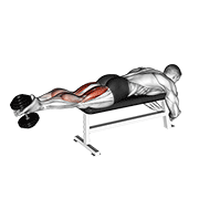 Dumbbell Lying Femoral animated exercise demonstration